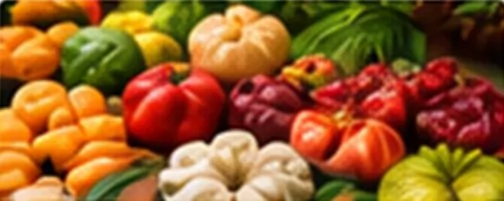 Rau củ quả tươi xuất khẩu