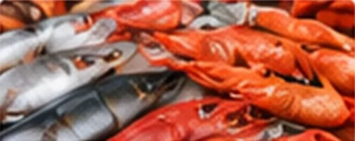 Thủy sản đông lạnh xuất khẩu